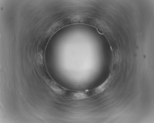 X0000073860183200608101300