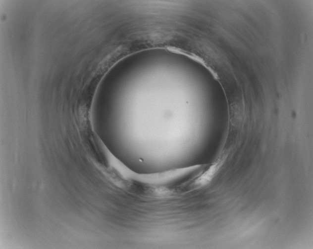 X0000073860184200608101300