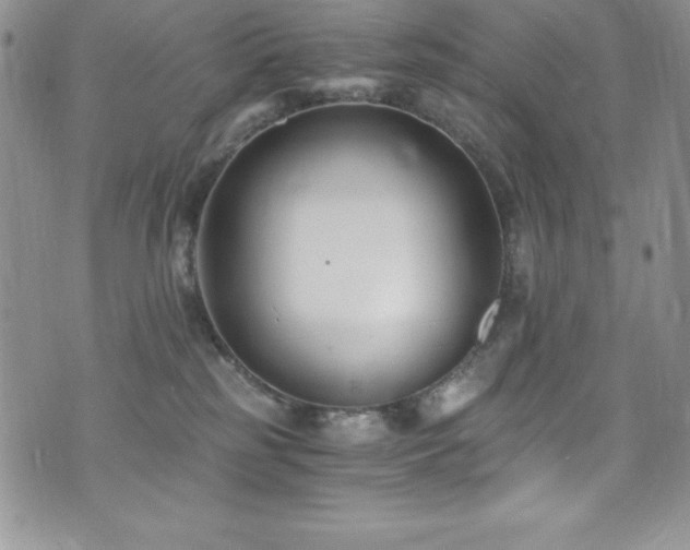 X0000073860185200608101300