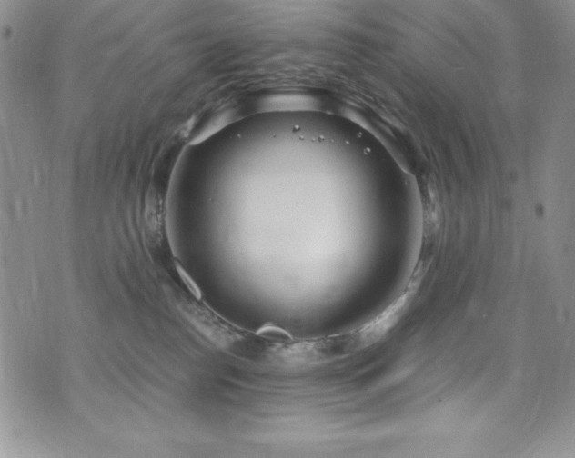 X0000073860186200608101300