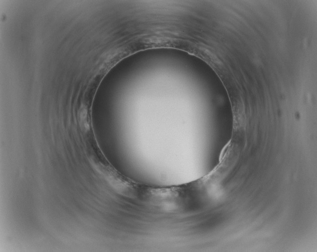 X0000073860187200608101300