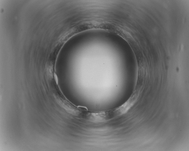 X0000073860188200608101300