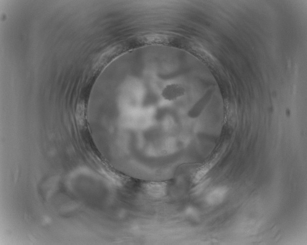 X0000073860189200608101300