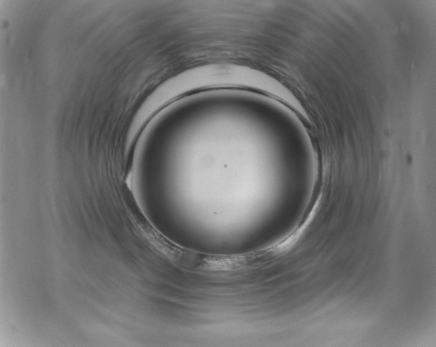 X0000073860190200608101300