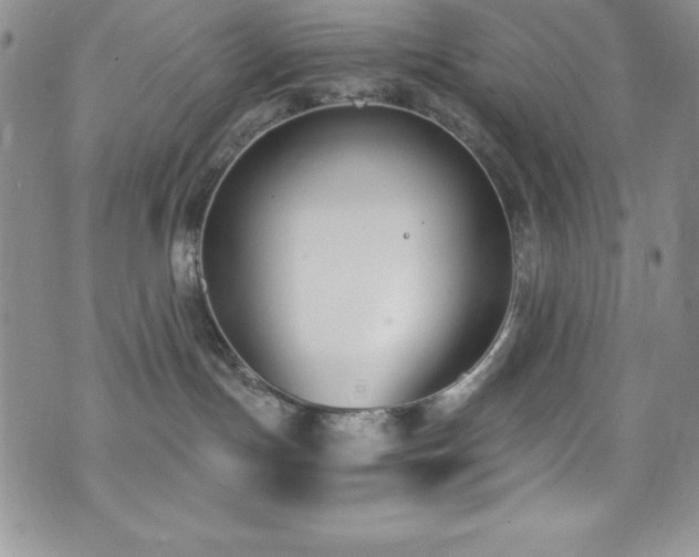 X0000073860191200608101300