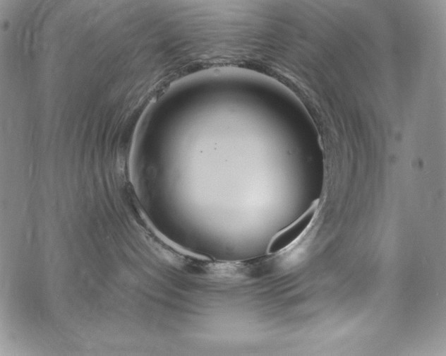 X0000073860192200608101300