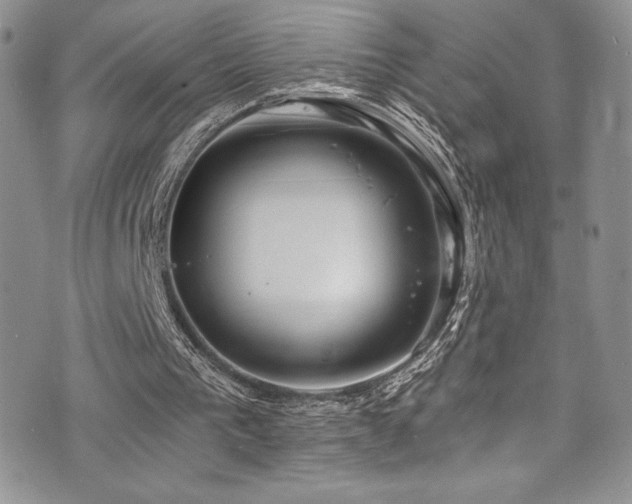 X0000073860193200608101259