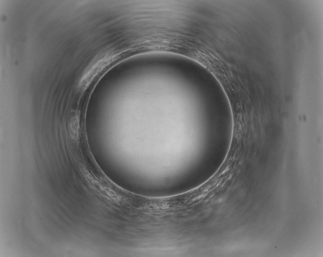 X0000073860194200608101259