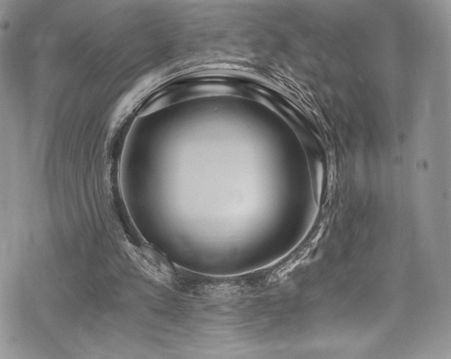 X0000073860197200608101259