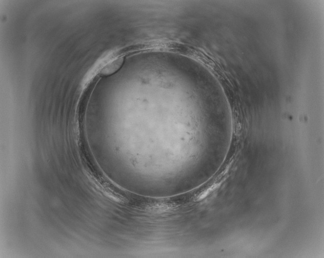 X0000073860198200608101259