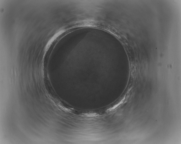 X0000073860200200608101259