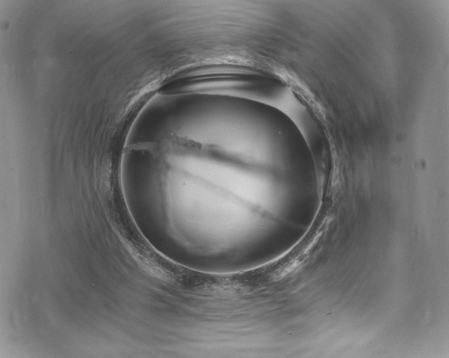 X0000073860201200608101259