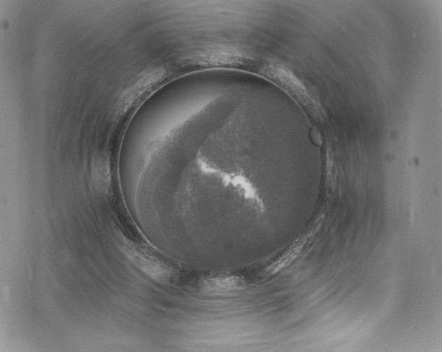 X0000073860202200608101259