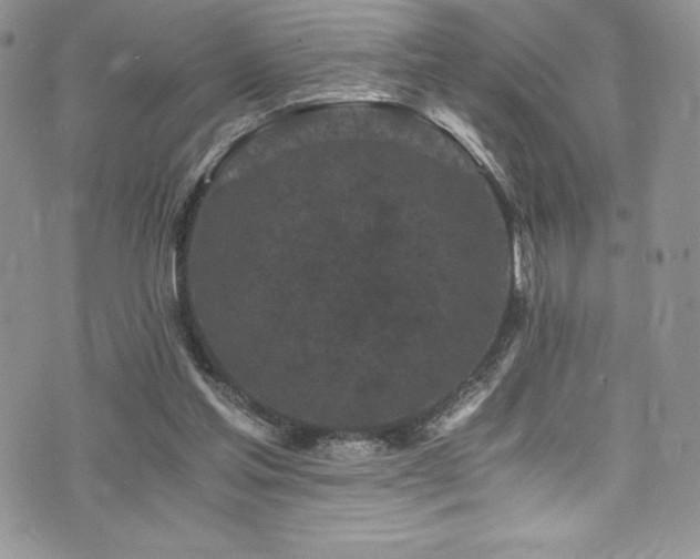 X0000073860205200608101259