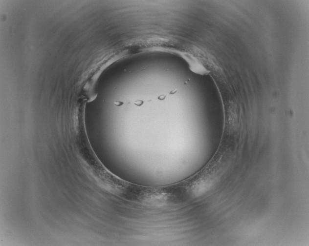 X0000073860206200608101259