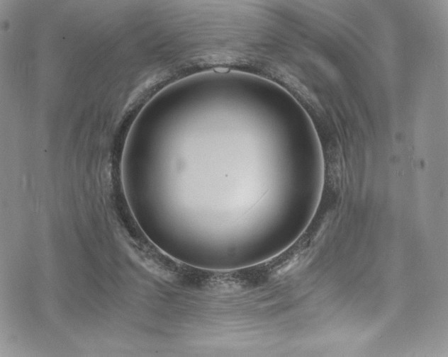 X0000073860207200608101259