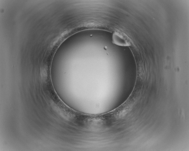 X0000073860208200608101259