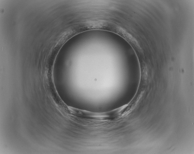 X0000073860209200608101259