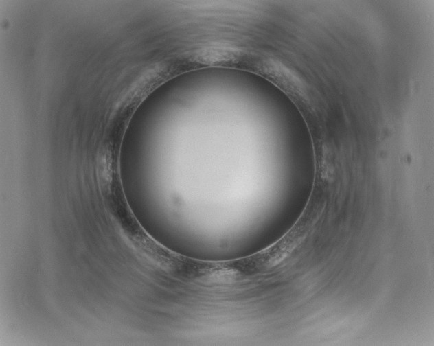 X0000073860210200608101259