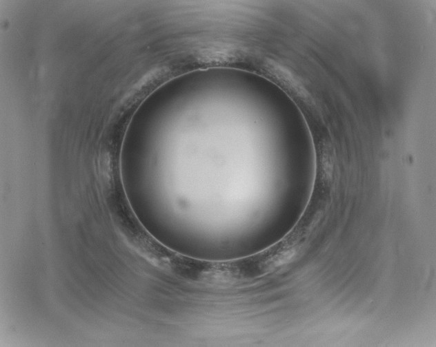 X0000073860211200608101259