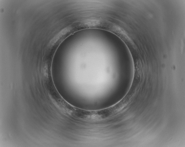 X0000073860212200608101259