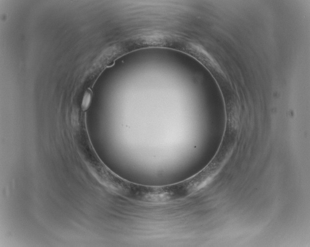 X0000073860213200608101259