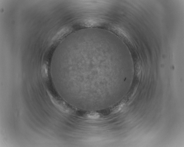 X0000073860214200608101259