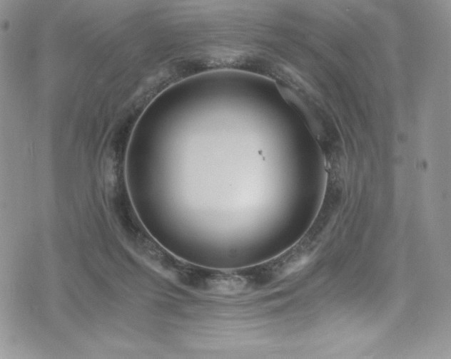 X0000073860215200608101259