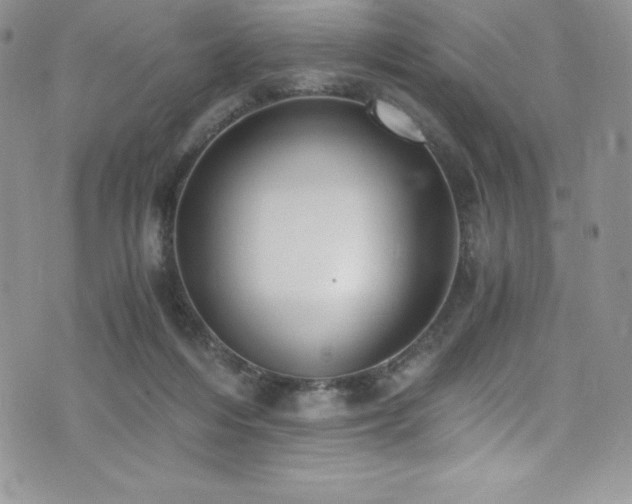 X0000073860216200608101259