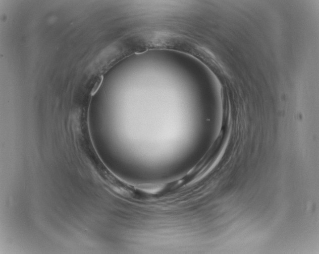 X0000073860217200608101259