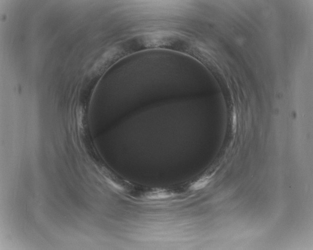 X0000073860219200608101258