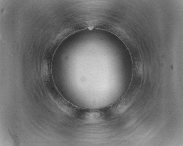 X0000073860220200608101258