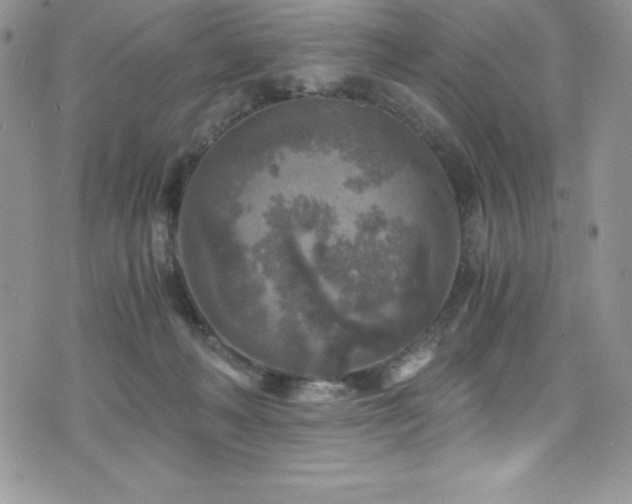 X0000073860222200608101258