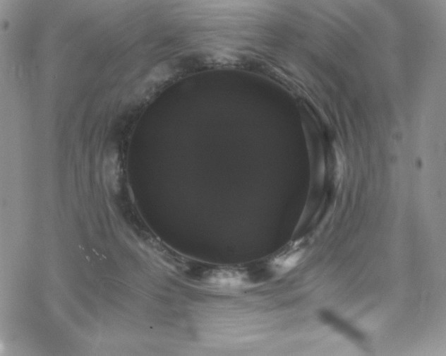 X0000073860223200608101258