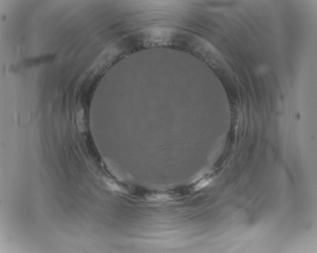 X0000073860224200608101258