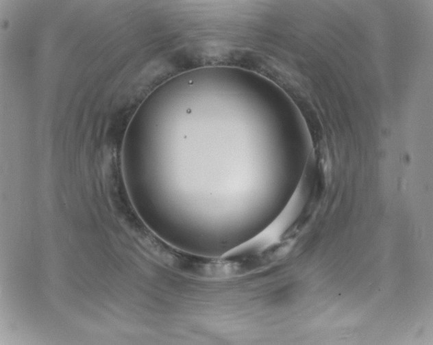 X0000073860225200608101258