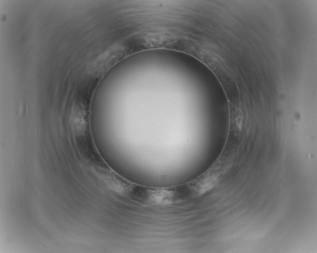 X0000073860226200608101258