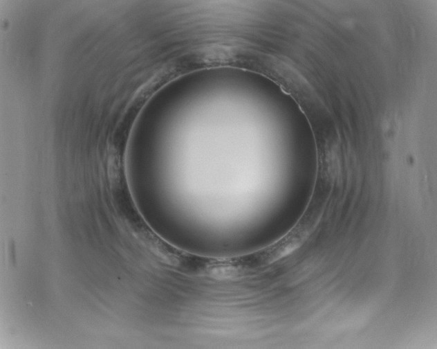 X0000073860228200608101258