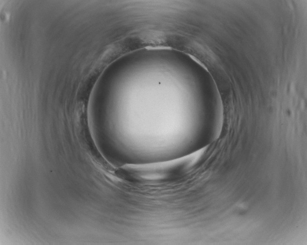 X0000073860229200608101258