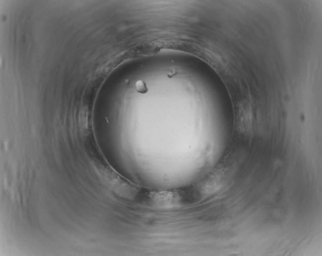 X0000073860230200608101258