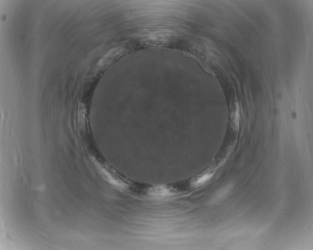 X0000073860231200608101258