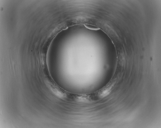 X0000073860232200608101258