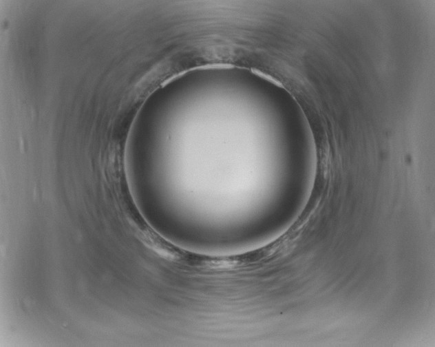 X0000073860233200608101258