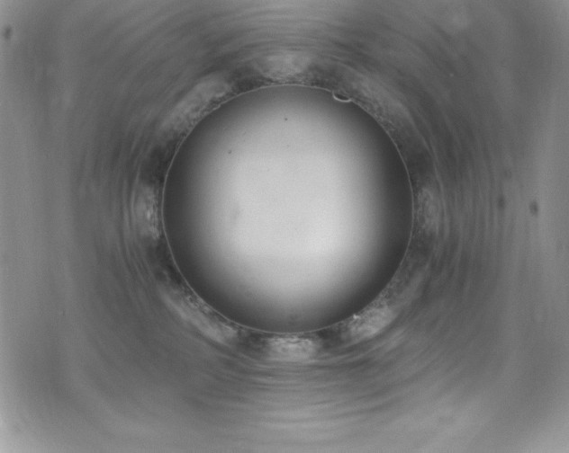 X0000073860234200608101258