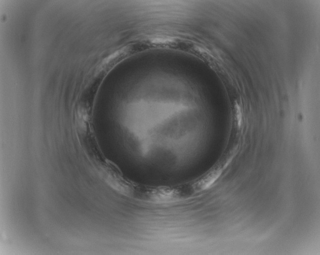 X0000073860235200608101258