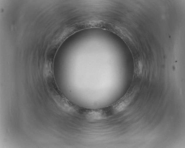 X0000073860236200608101258