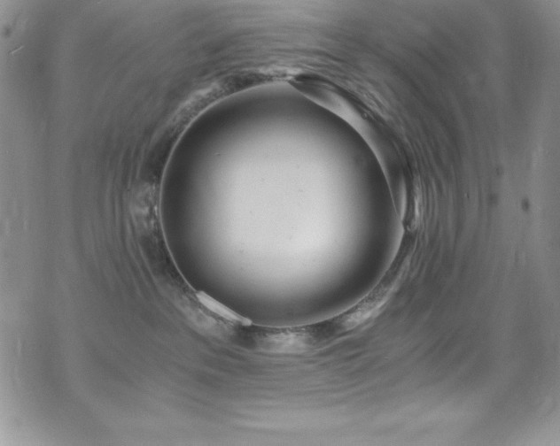 X0000073860237200608101258