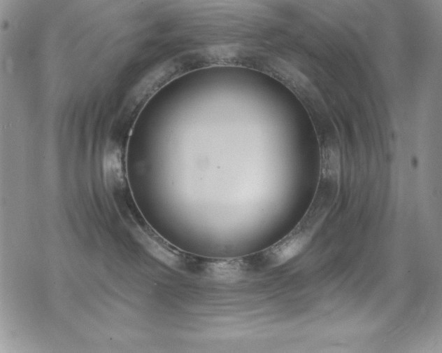 X0000073860238200608101258