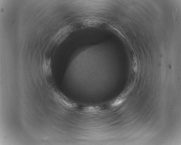 X0000073860239200608101258