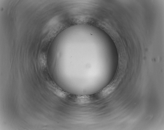 X0000073860240200608101258